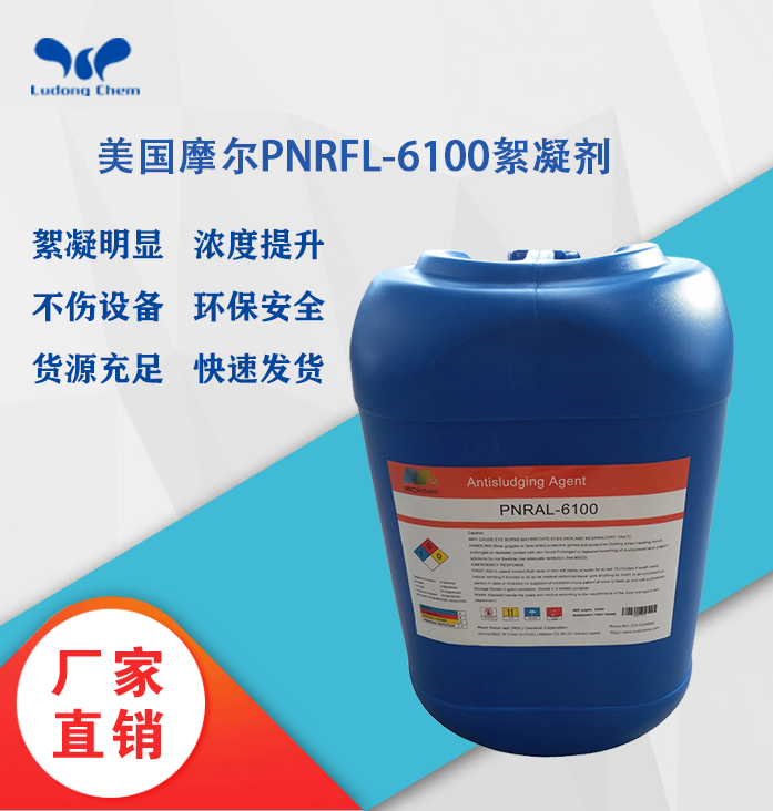 美国摩尔絮凝剂PNRFL-6100