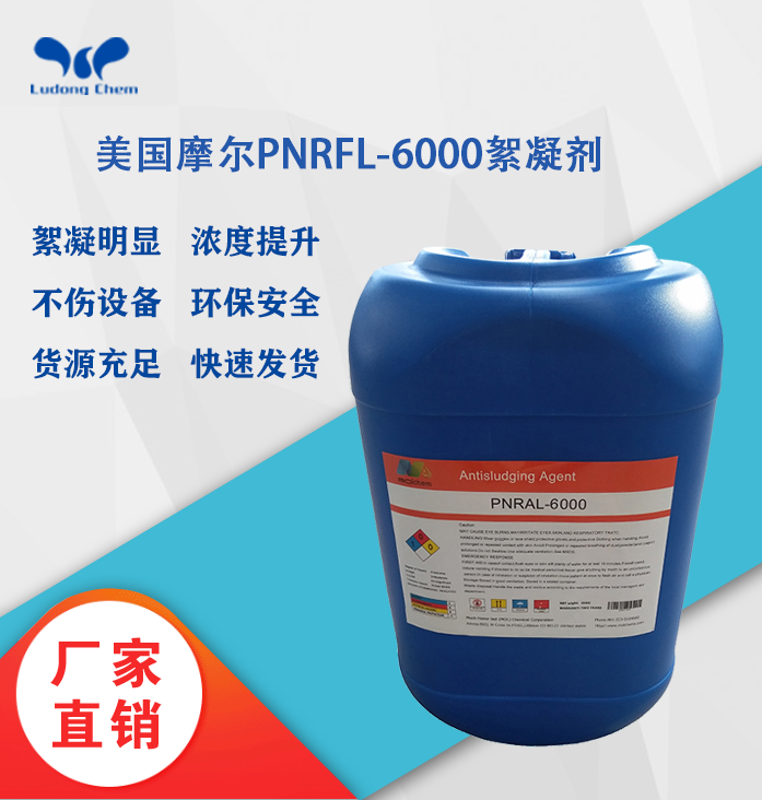 美国摩尔絮凝剂PNRFL-6000