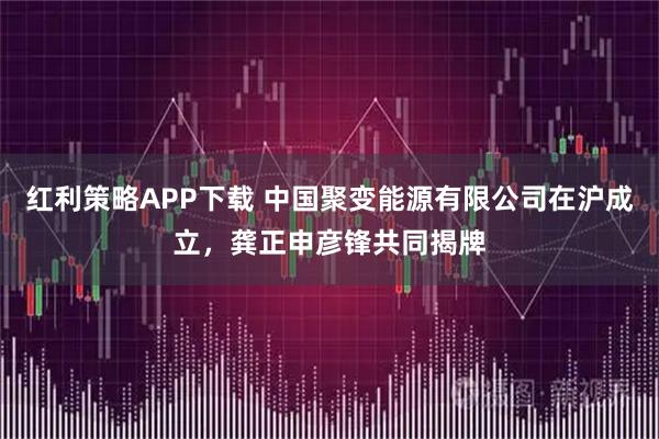 红利策略APP下载 中国聚变能源有限公司在沪成立，龚正申彦锋共同揭牌