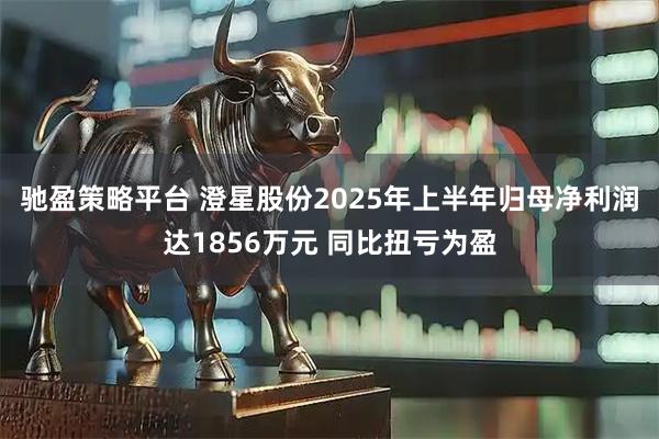 驰盈策略平台 澄星股份2025年上半年归母净利润达1856万元 同比扭亏为盈